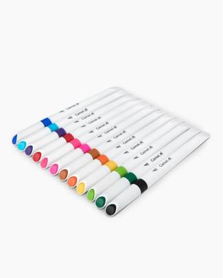Camlin Brush pen 12 shades